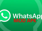Rekomendasi Aplikasi Whatsapp MOD Terbaru 2023